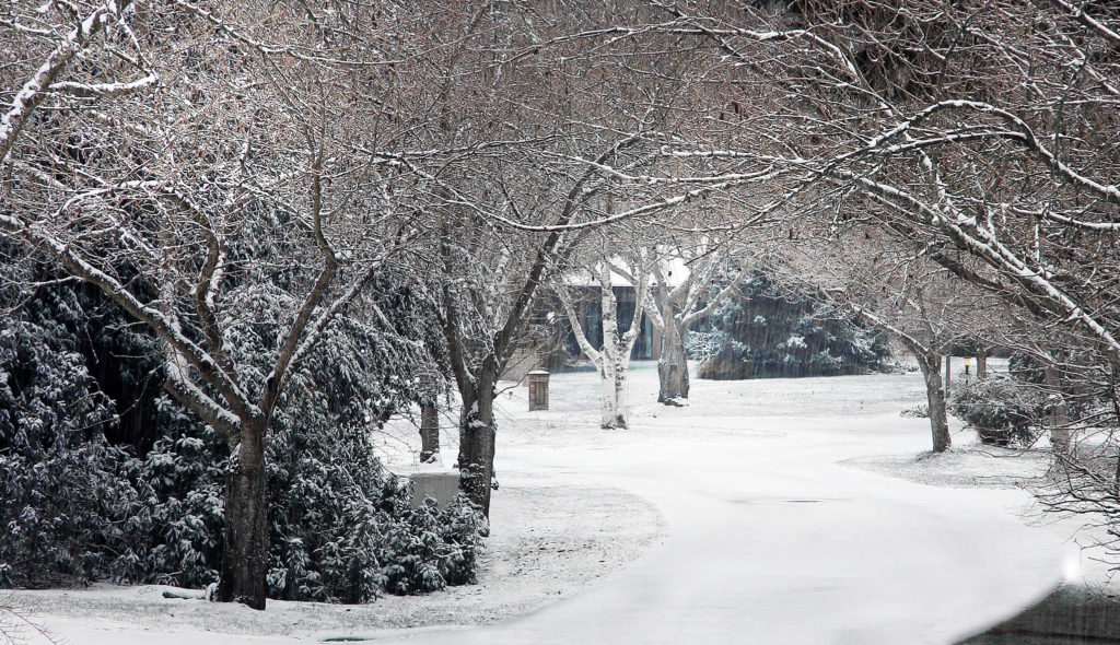 article jacklumber le froid au jardin